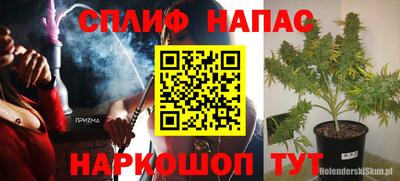 тгк Ставрополь