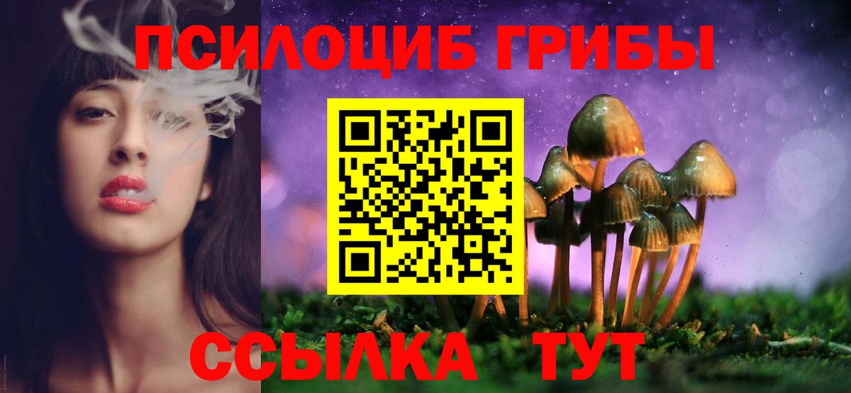 купить наркотики цена  Галлюциногенные грибы мицелий  Вход с VPN  Павлово 
